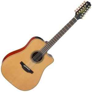 TAKAMINE P3DC12